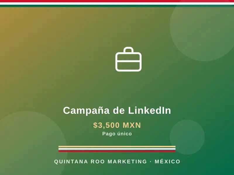 Campaña de LinkedIn
